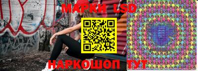 гашик Ярославль