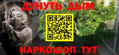 гашик Ярославль