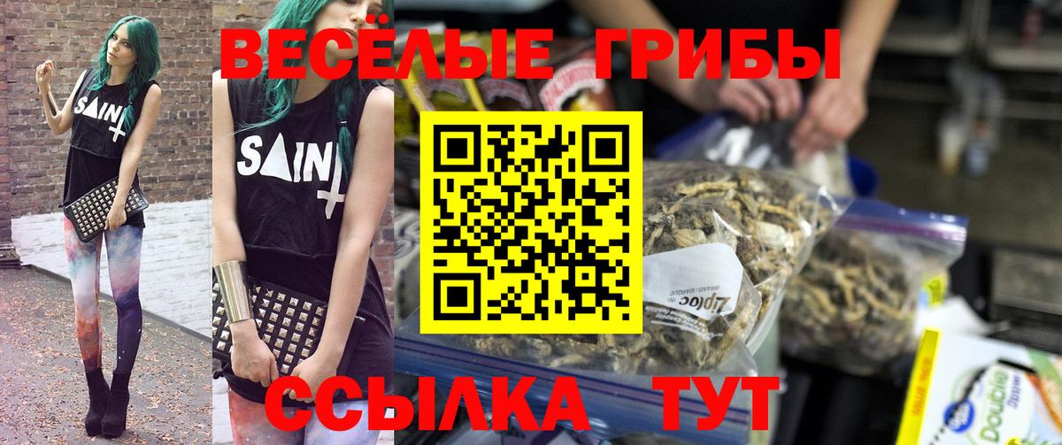 Галлюциногенные грибы GOLDEN TEACHER  где продают   Калуга  Вход с VPN  Псилоцибиновые грибы мухоморы 